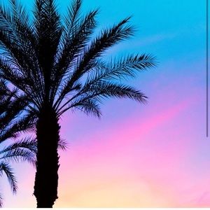 Meet your Posher, Gale